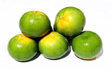  این نوع میوه نارنگی را نخرید