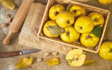 مضرات بوییدن بِهِ تازه