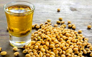 سلول های چربی را با این خوراکی ها از بین ببرید