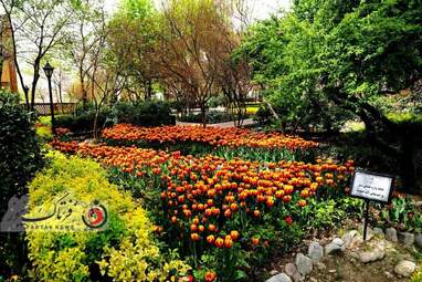  باغ ایرانی  بوستان  لاله های رنگین 