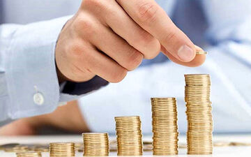 یک قدم تا میلیارد شدن با این گیاه | چگونه به یک باغبان میلیاردر تبدیل شوید؟