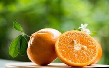 آشنایی با خواص بی نظیر آب نارنج