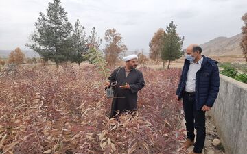 بازدید امام جمعه چرداول از پارک جنگلی و نهالستان منابع طبیعی