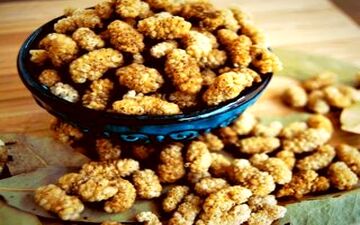 از فواید توت خشک چه می‌دانید؟