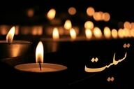 درگذشت بازیگر سرشناس؛ جامعه هنر عزادار شد + عکس