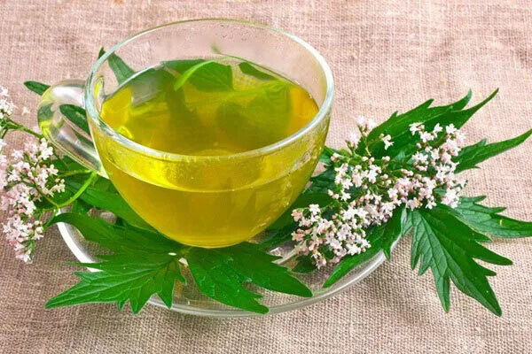 اگر دلشوره خواب و خوراک را از شما گرفته این دمنوش‌ها را بخورید!