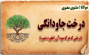 حکایت جالب و آموزنده درخت بی مرگ و پادشاهی که عمر جاودانه می‌خواست