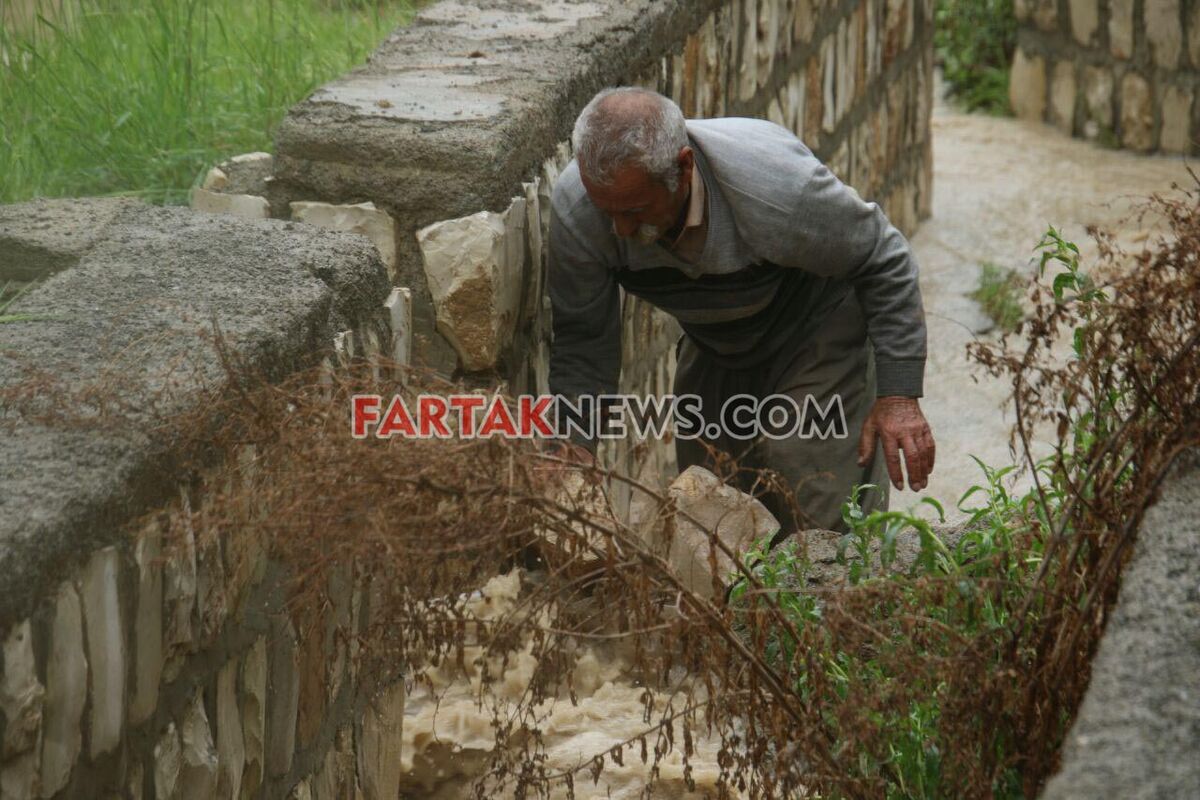 تگرگ در گهواره