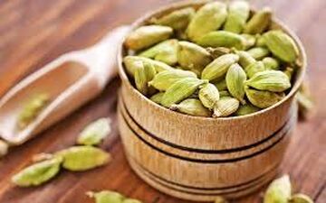 حال دستگاه گوارش شما با این گیاه خوب می شود 