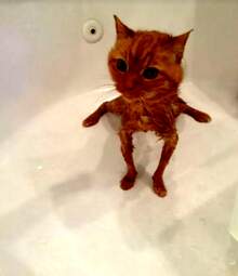 i-am-a-photographer-tiktok-trend-funny-6532302ee4a8b700-6544809f7c0c309f944305b2