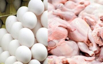 قیمت جدید مرغ در بازار / تخم مرغ هم تغییر قیمت داد 